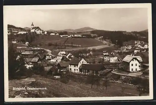 AK Birkfeld, Totalansicht aus der Vogelschau