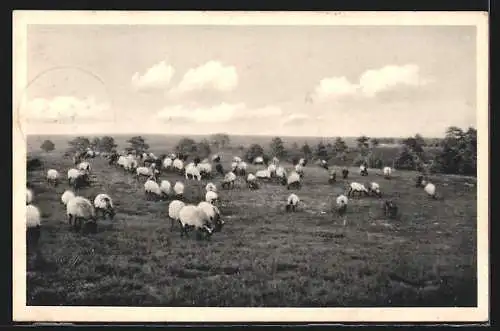 AK Landpoststempel Evendorf über Winsen (Luhe)