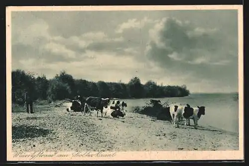 AK Landpoststempel Retzow /Röbel (Müritz) Land