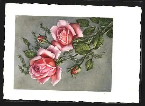 AK Landpoststempel Oberschleichach über Hassfurt