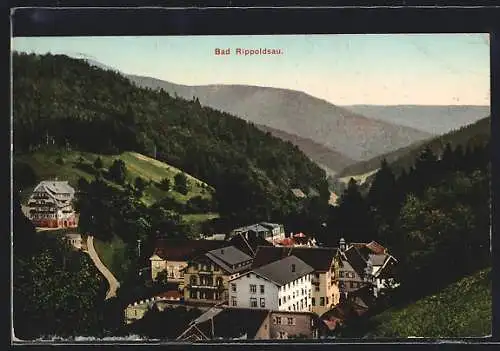 AK Bad Rippoldsau, Ortsansicht aus der Vogelschau