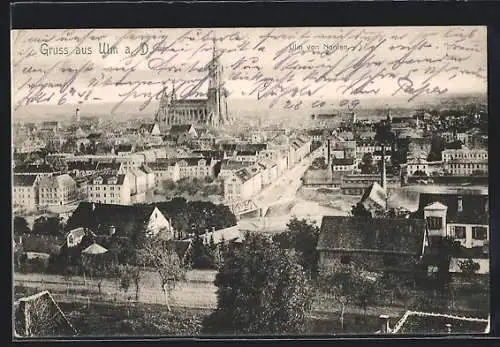 AK Ulm a. D., Ortsansicht mit Münster