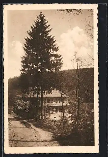 AK Eisenberg i. Thür., Sommerfrische und Restaurant Amtsschreibersmühle im Mühltal, Bes.: Rich. Kühne