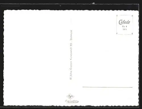 AK Bonn a. Rhein, Rheinpartie mit Bundeshaus