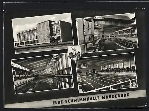 AK Magdeburg, Die Elbe-Schwimmhalle, Aussen- und Innenansichten