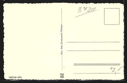 AK Schweinfurt, Partie am Main