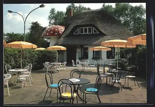 AK Wesendorf /Südheide, Motel-Restaurant Zum Pilz, Terrasse