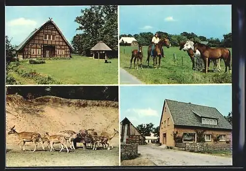 AK Trebel-Marleben, Reiterhof Klaucke mit Ferienwohnungen