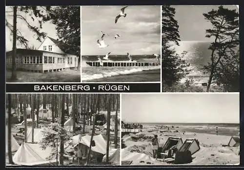AK Bakenberg /Rügen, Strandpartie, Zeltplatz, Möwen am Strand