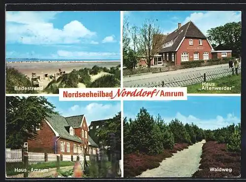 AK Norddorf /Amrum, Badestrand, Haus Altenwerder, Haus Amrum, Waldweg