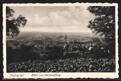 AK Amberg, Blick vom Mariahilfberg
