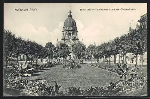 AK Mainz, Blumenbeet und Christuskirche