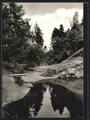 AK Börninghausen-Eininghausen, Partie an einem Teich
