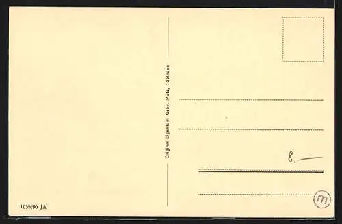 AK Schweinfurt, Geschäft von August Fischer, Rathaus