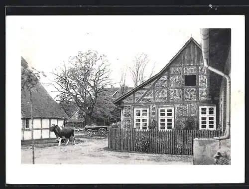 AK Wiedensahl, Wilhelm Busch`s Geburtshaus mit Kuh