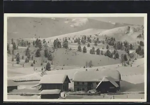 AK Turracherhöhe / Steiermark, Gasthof zum Seewirt im Winter, Bes. Hans Brandstätter