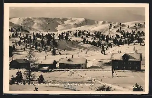 AK Turracherhöhe / Steiermark, Brandstätter's Gasthof zum Seehof im Winter