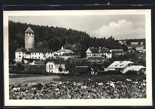 AK Litschau, Schloss mit Umgebung