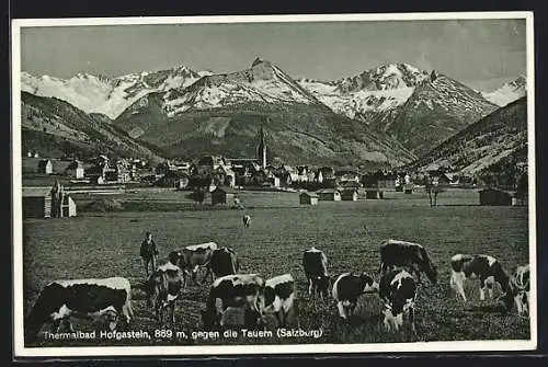 AK Hofgastein, Ortspanorama mit Kuherde, Tauern im Hintergrund