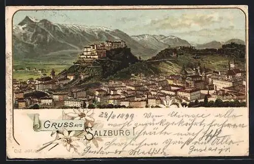 Lithographie Salzburg, Teilansicht