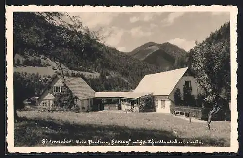AK Hinterstoder, Pension Herzog mit bewaldeten Hügeln im Hintergrund