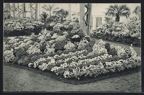 AK Gand, Universelle & Internationale Floralies 1913, Blumenbeet