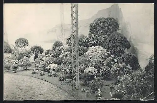 AK Gand, Universelle & Internationale Floralies 1913, Sträucher und Blumentöpfe