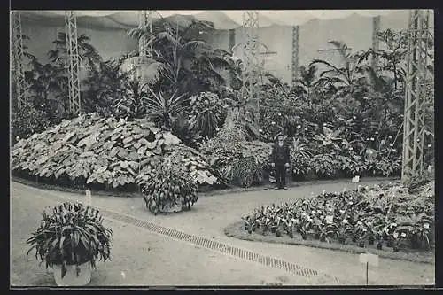 AK Gand, Universelle & Internationale Floralies 1913, Besucher steht vor Blumenbeeten