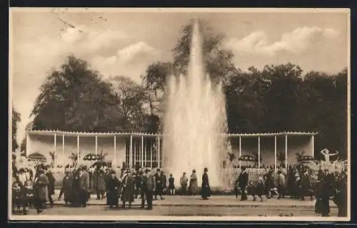 AK Dresden, Jubiläums-Gartenbau-Ausstellung 1926, der Rosenhof mit Leuchtspringbrunnen