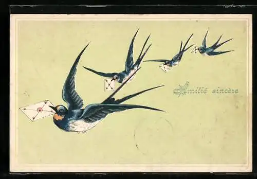 AK Vier fliegende Briefschwalben