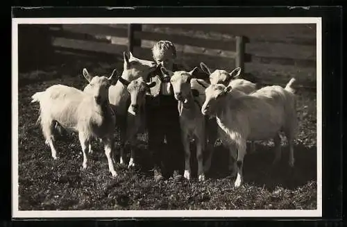 Foto-AK Bube mit Ziegen