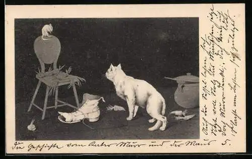 AK Maus auf der Spitze einer Stuhllehne, kaputter Stiefel und Katze