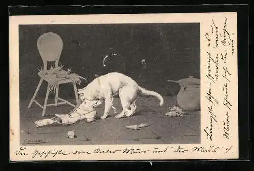 AK Maus flieht durch einen kaputten Stiefel vor einer Katze