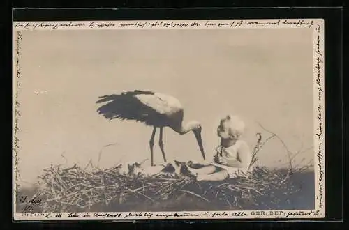 AK Klapperstorch mit Kleinkind in einem Vogelnest