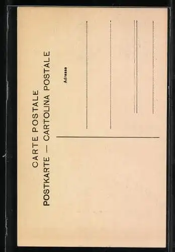 AK Bern, Bärengraben, Zwei junge Bären