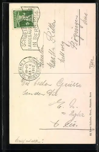 AK Bern, Bärengraben, junge Braunbären beim Klettern, Zuschauer