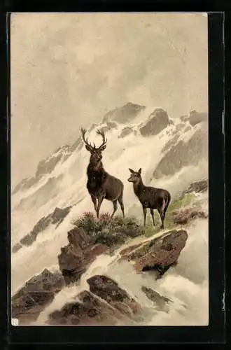 Lithographie Rotwild auf dem Fels am Abhang eins Berges