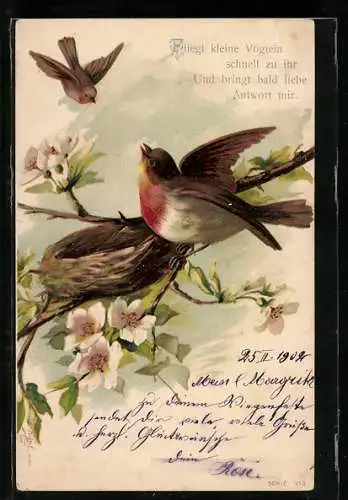 AK Vögel bauen zusammen ein Nest auf einem Ast