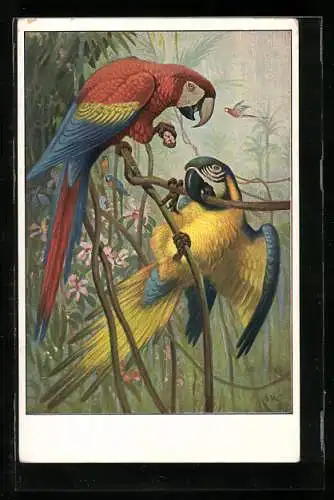 Künstler-AK Papageien im tropischen Regenwald