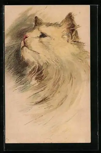 Künstler-AK Langhaarige helle Katze