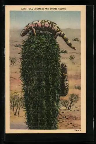AK Gila Monsters and Barrel Cactus