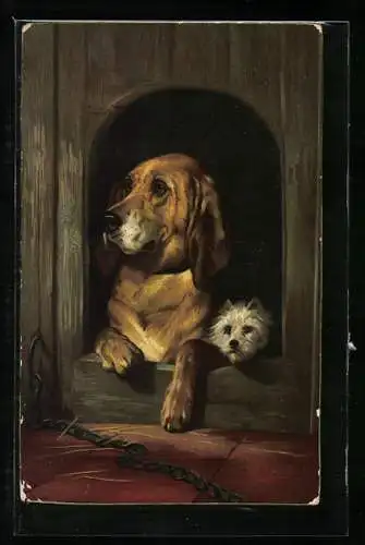 AK Basset und kleiner Terrier in einem Hundehaus