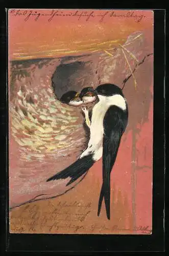 Lithographie Schwalbe füttert Junge im Nest, Mauersegler