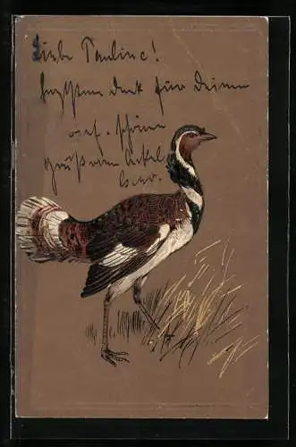 AK Hahn stolziert über eine Wiese