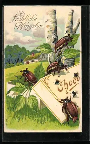 AK Maikäfer krabbeln aus einer Pralinenschachtel, Pfingstgruss