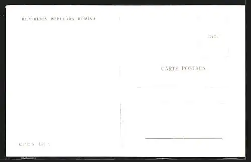 AK Eforie, Strand mit modernen Bauten vom Wasser aus