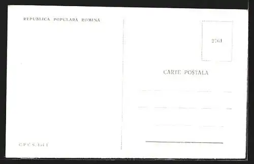 AK Eforie, Vile pe malul marii