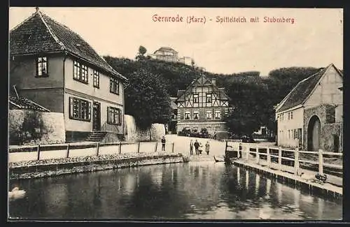 AK Gernrode im Harz, Spittelteich mit Stubenberg