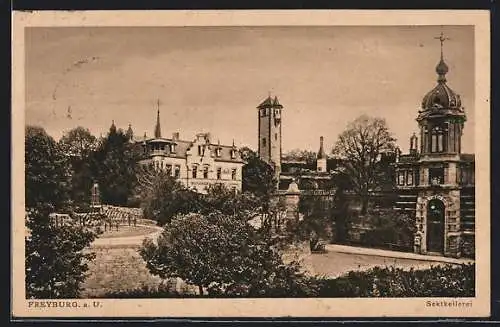 AK Freyburg, Sektkellerei mit Park