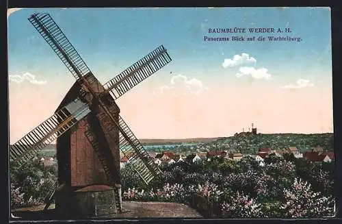 AK Werder a. H., Baumblüte, Panorama Blick auf die Wachtelburg u. Windmühle